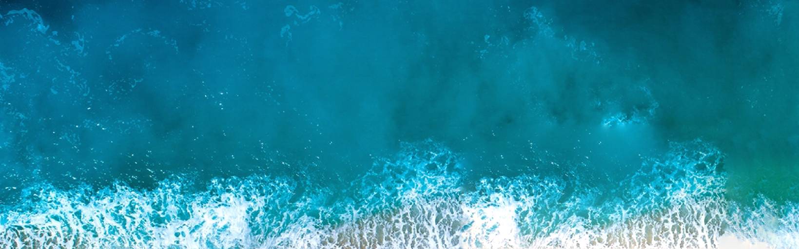 Surfrider Project